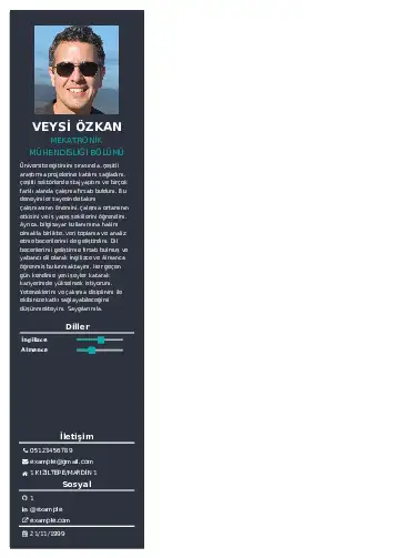Mekatronik Mühendisliği Cv Örnekleri cv indir